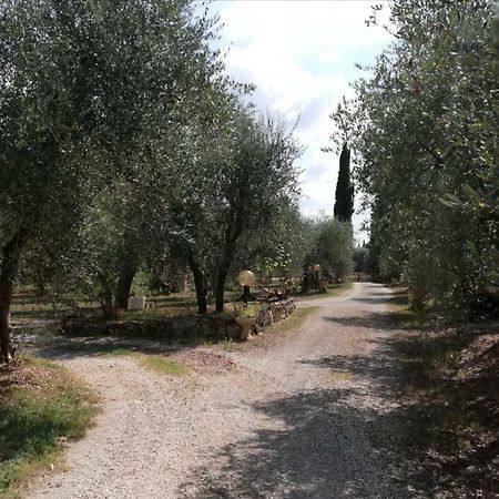 Nel Chianti Lungo La Francigena Apartment Colle Val D'Elsa Bagian luar foto