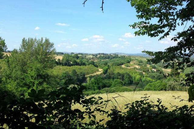 Nel Chianti Lungo La Francigena Apartment Colle Val D'Elsa Bagian luar foto