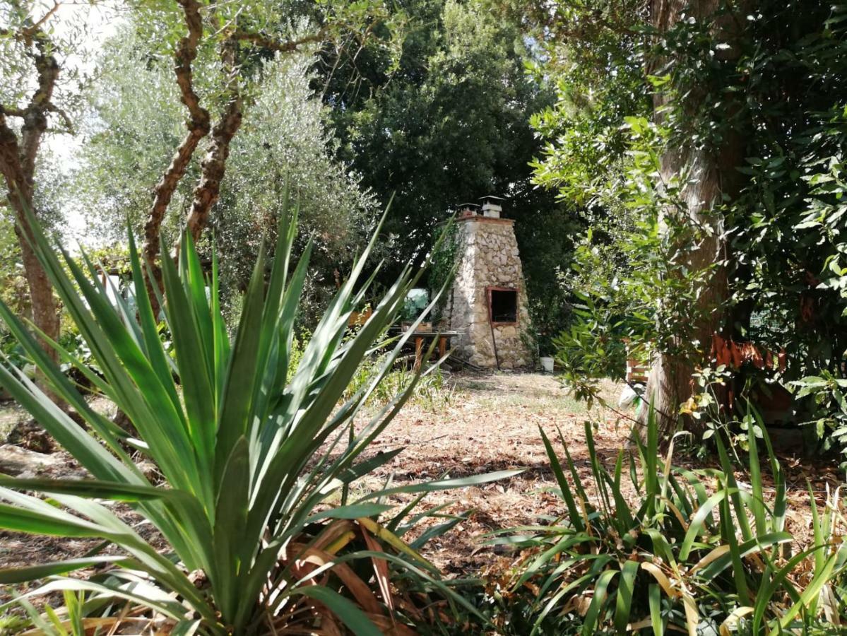 Nel Chianti Lungo La Francigena Apartment Colle Val D'Elsa Bagian luar foto