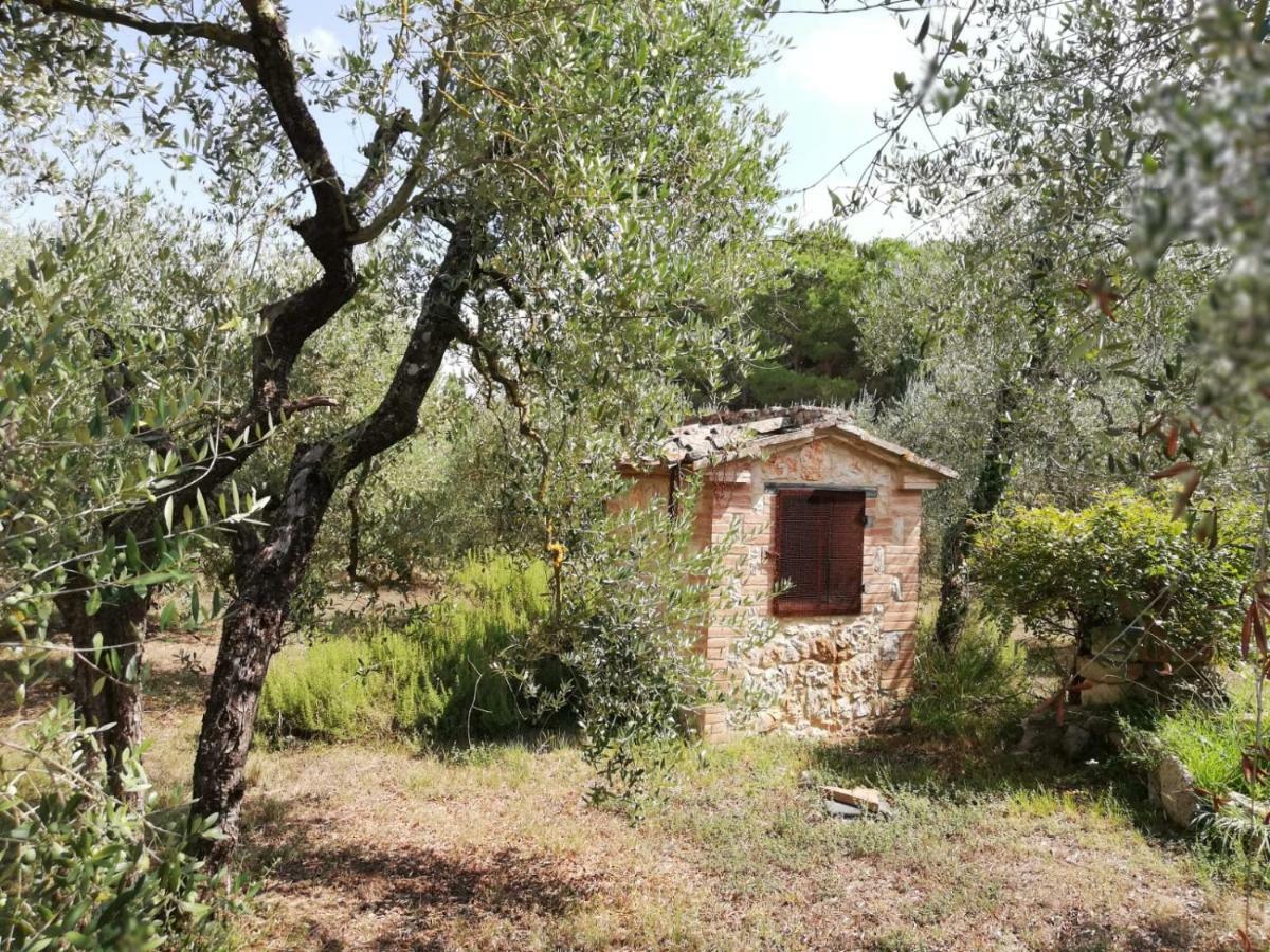 Nel Chianti Lungo La Francigena Apartment Colle Val D'Elsa Bagian luar foto