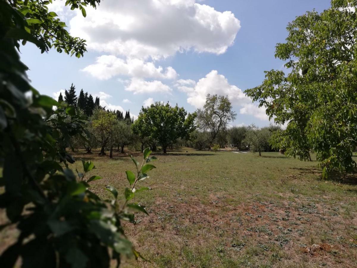 Nel Chianti Lungo La Francigena Apartment Colle Val D'Elsa Bagian luar foto