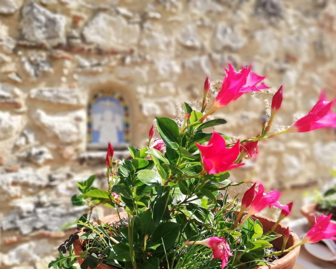 Nel Chianti Lungo La Francigena Apartment Colle Val D'Elsa Bagian luar foto