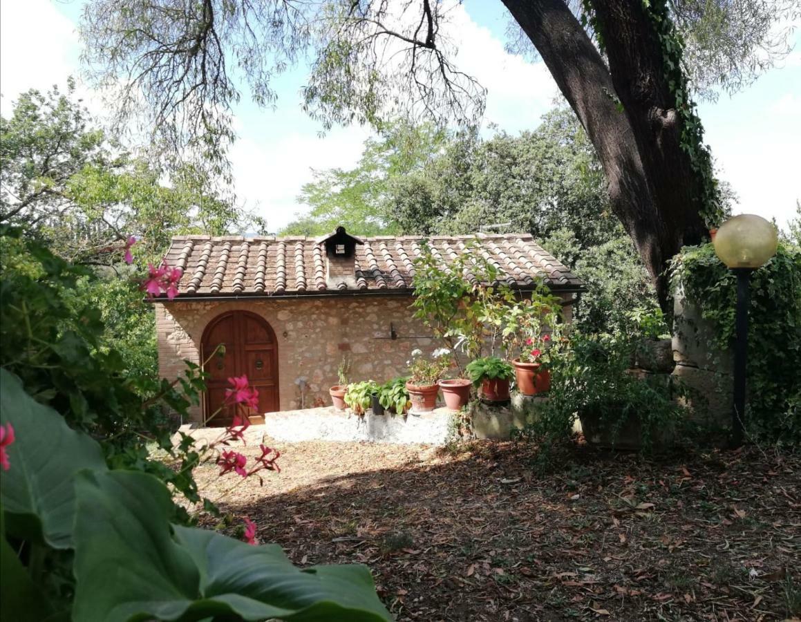 Nel Chianti Lungo La Francigena Apartment Colle Val D'Elsa Bagian luar foto