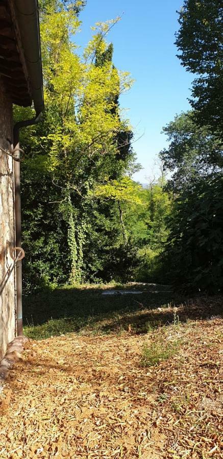 Nel Chianti Lungo La Francigena Apartment Colle Val D'Elsa Bagian luar foto