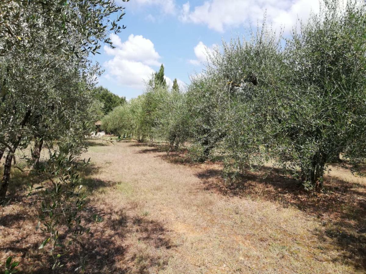 Nel Chianti Lungo La Francigena Apartment Colle Val D'Elsa Bagian luar foto