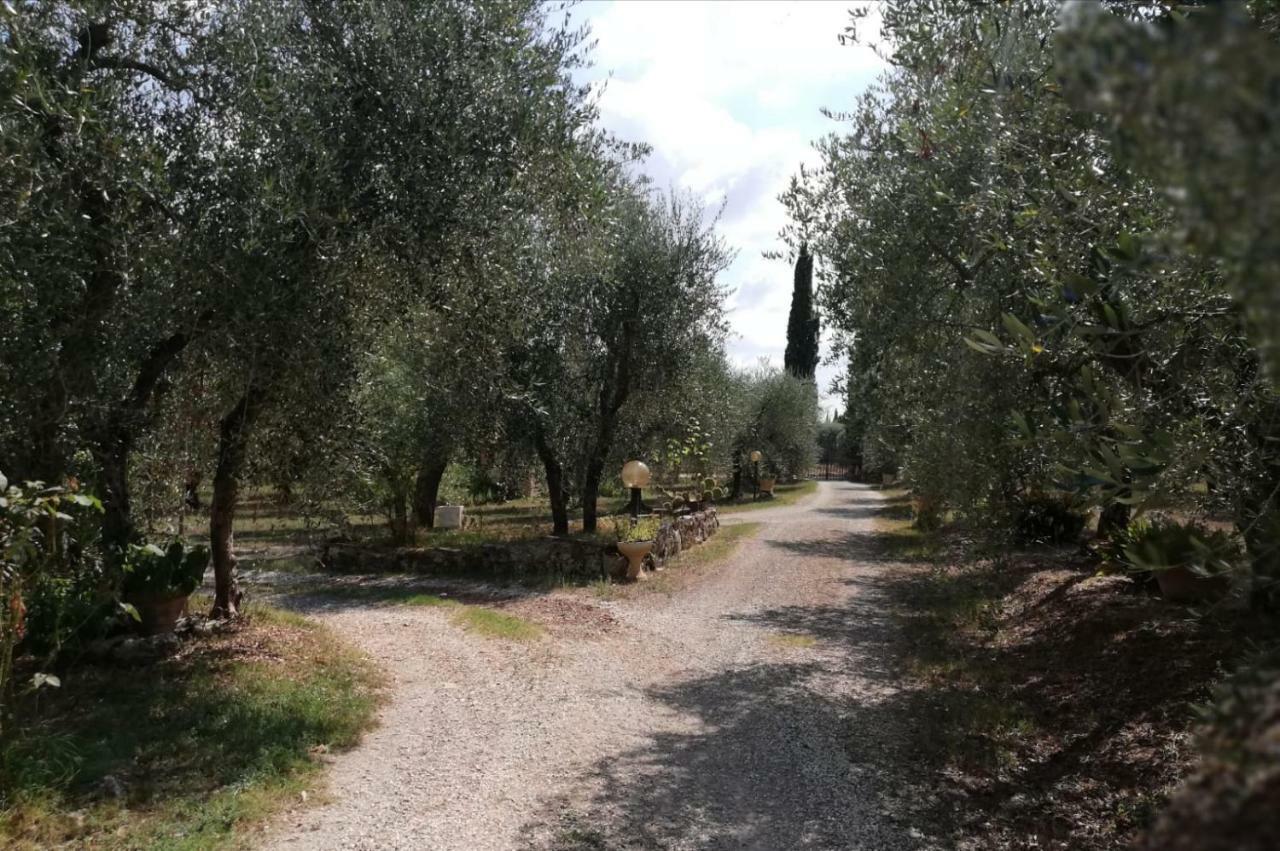 Nel Chianti Lungo La Francigena Apartment Colle Val D'Elsa Bagian luar foto